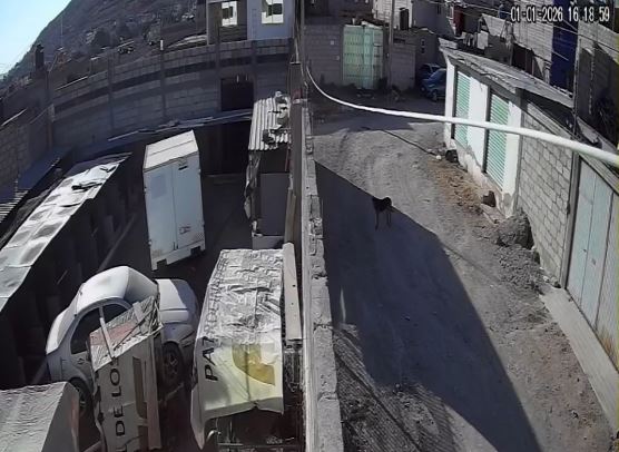 VIDEO: ‘¡Suéltala, cabrón!’; vecino ayuda a jovencita que era atacada en la calle