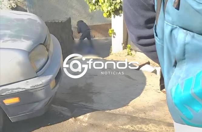 LOCURA. Cristian tenía dos perros pero un vecino los mató porque le ladraron; fue reclamar y también fue asesinado