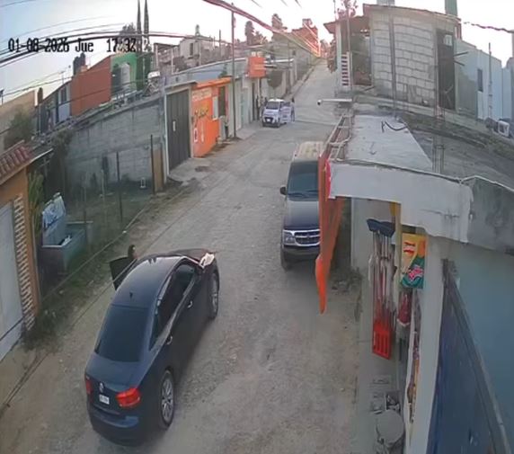 VIDEO: Curioso terror; mono araña entra a una tiendita y siembra el pánico