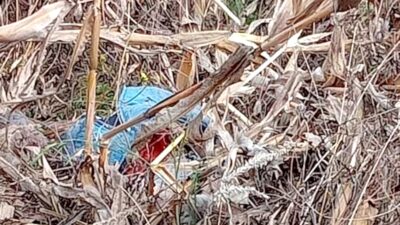 TRISTEZA. Encuentran cuerpo de joven asesinado junto con una carta de amor en el Estado de México