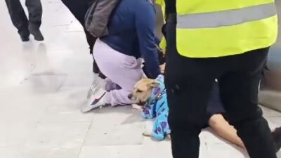 VIDEO: Niegan entrada al Metro a una señora con su perrito de apoyo y le da un ataque epiléptico