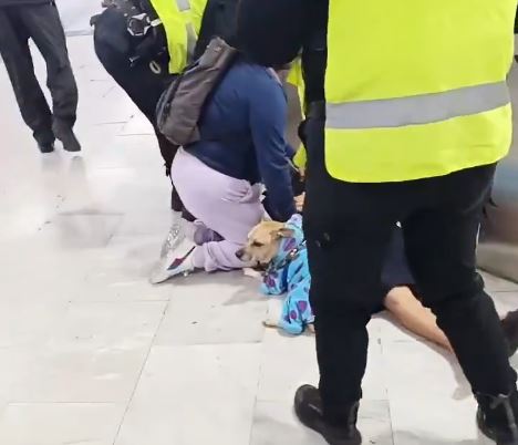VIDEO: Niegan entrada al Metro a una señora con su perrito de apoyo y le da un ataque epiléptico