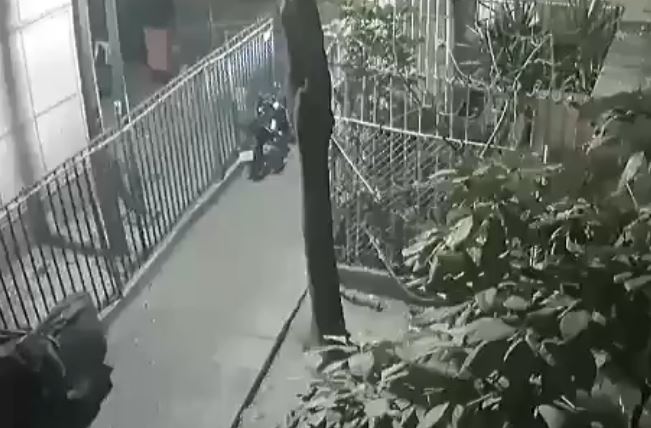 VIDEO: Criminales pasean por andadores y pasillos con una ‘chorla’ para robar motos