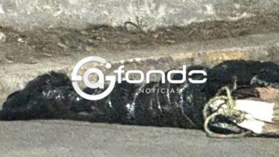 ATERRADOR. Avientan dos cuerpos de dos jóvenes embolsados en esta peligrosa ‘zona de nadie’