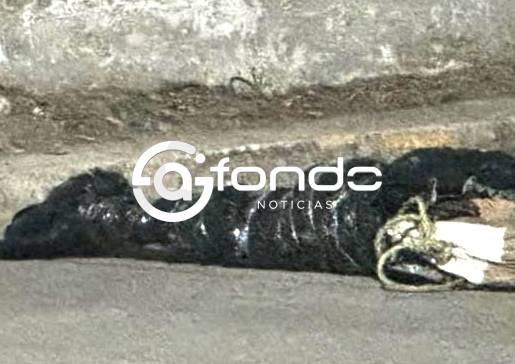 ATERRADOR. Avientan dos cuerpos de dos jóvenes embolsados en esta peligrosa ‘zona de nadie’