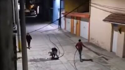 VIDEO: Sujetos arrancan y se llevan los cables de toda una calle en Edomex