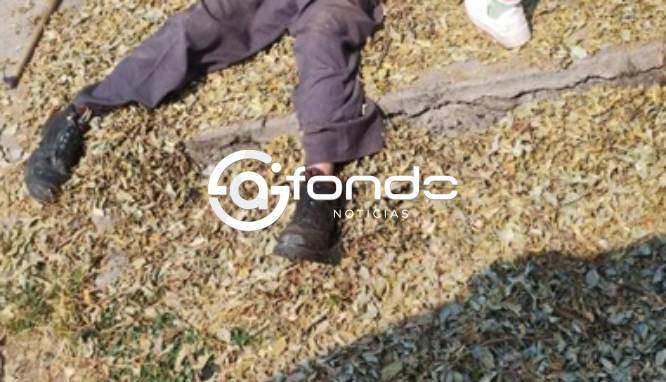 TRISTEZA. Abuelito trabajaba podando un árbol, pero se cayó y quedó muerto en la calle