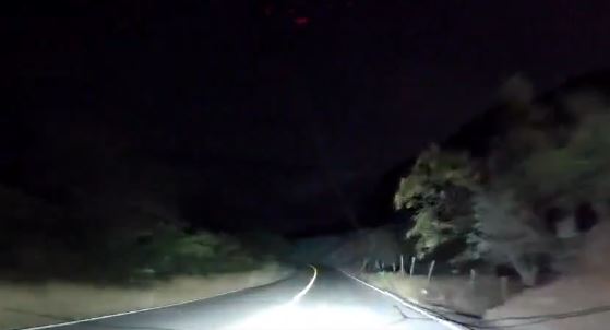 VIDEO: Familia se lleva el susto de su vida por culpa de un autobús ADO