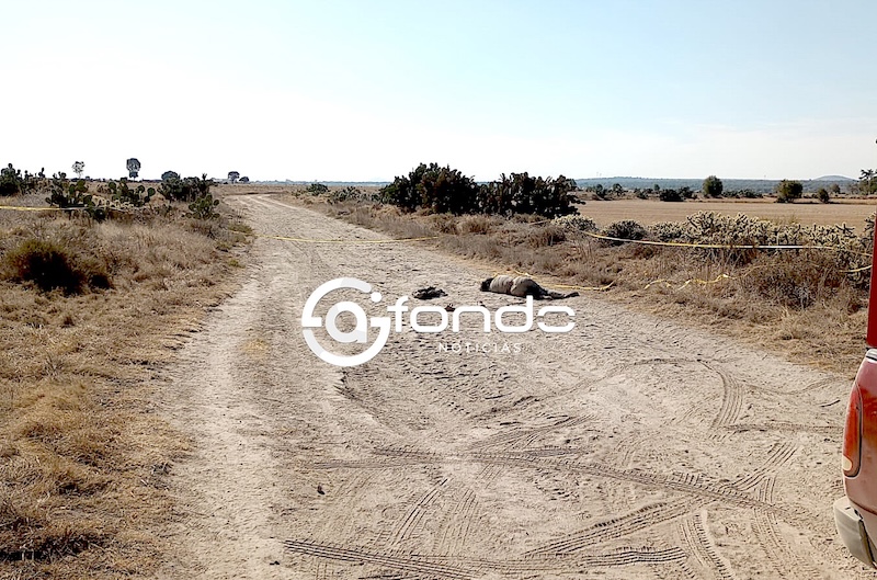 FEMINICIDIO #14. Abandonan el cuerpo de una mujer asesinada en un camino; la apuñalaron y degollaron