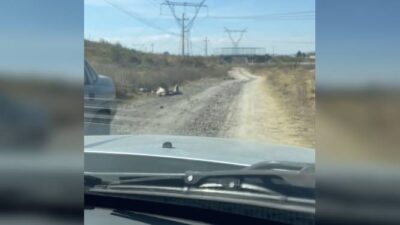 VIDEO. Descubren un camino lleno de animales muertos en el Estado de México