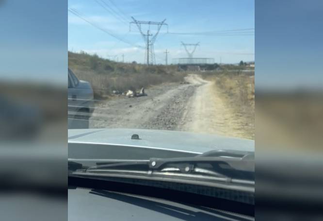 VIDEO. Descubren un camino lleno de animales muertos en el Estado de México