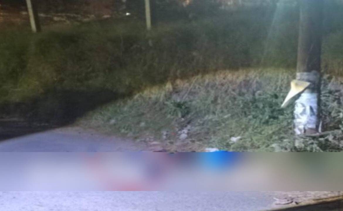 MACABRO: Perros callejeros rompen bolsas donde estaba la pierna de un hombre