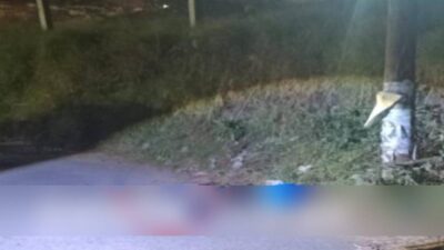 MACABRO: Perros callejeros rompen bolsas donde estaba la pierna de un hombre