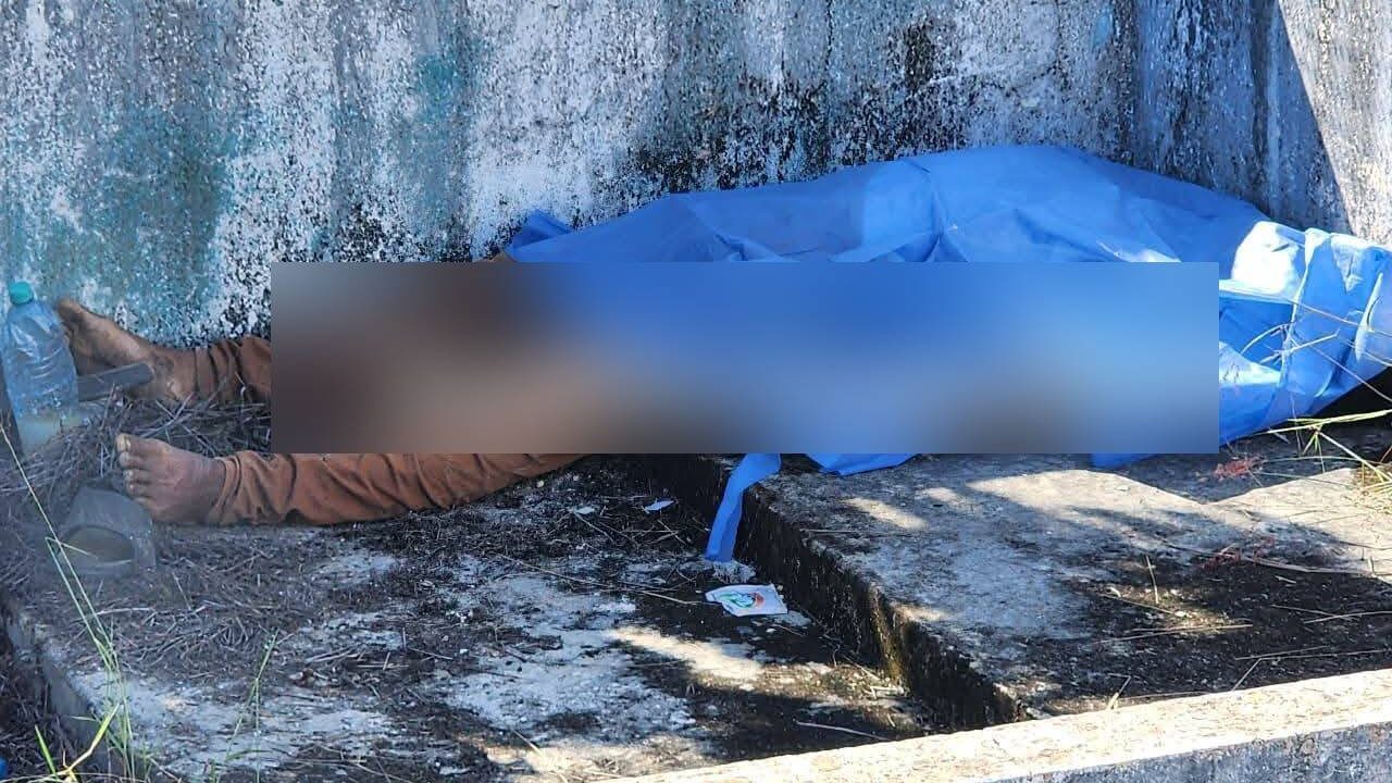 TRISTEZA: Perrito cuida el cadáver de su dueño muerto en un estadio abandonado