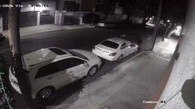 VIDEO: Delincuentes se dan gusto por las madrugadas en la supuesta zona ‘más segura’