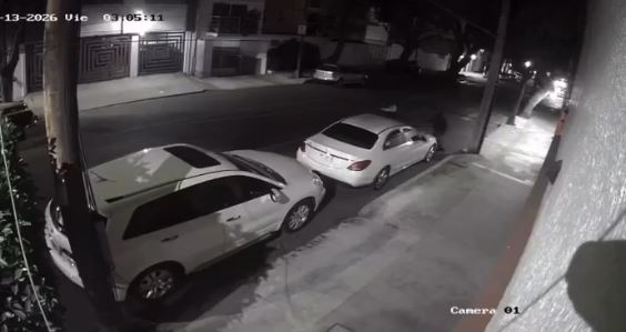 VIDEO: Delincuentes se dan gusto por las madrugadas en la supuesta zona ‘más segura’