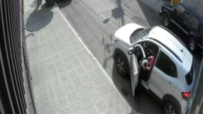 VIDEO: Conductora se gana la confianza de un perro y luego se lo roba