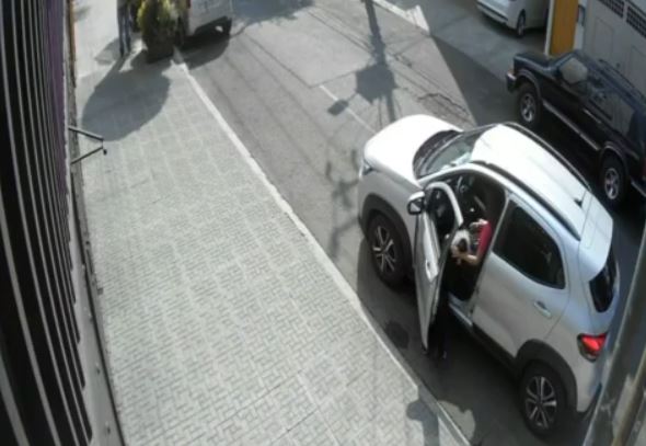 VIDEO: Conductora se gana la confianza de un perro y luego se lo roba