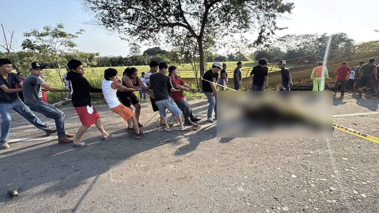 VIDEO: Graban brutal rapiña; pobladores matan reses y las destazan tras volcadura de tráiler