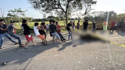 VIDEO: Graban brutal rapiña; pobladores matan reses y las destazan tras volcadura de tráiler