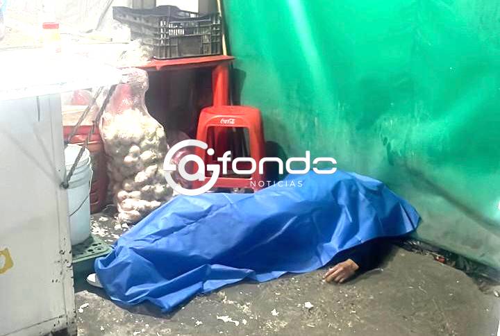 FEMINICIDO #20. Raquel tenía 32 años, trabajaba en una taquería y ahí la mataron a balazos