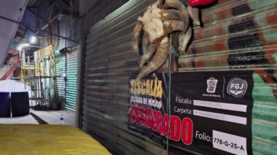 MALTRATO: Locatarios tenían más de 160 animales en terribles condiciones en un mercado de Edomex