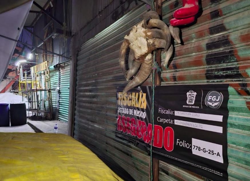 MALTRATO: Locatarios tenían más de 160 animales en terribles condiciones en un mercado de Edomex