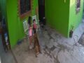 VIDEO: Niña de 7 años sufre brutal ataque de un pastor belga en su propia casa