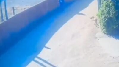 VIDEO. Niño iba solo a la primaria y un asaltante armado le quita su mochila