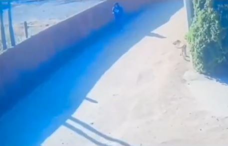 VIDEO. Niño iba solo a la primaria y un asaltante armado le quita su mochila