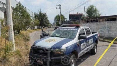 URGENTE: ‘De película’; sujeto intentó liberar unos leones y casi es devorado