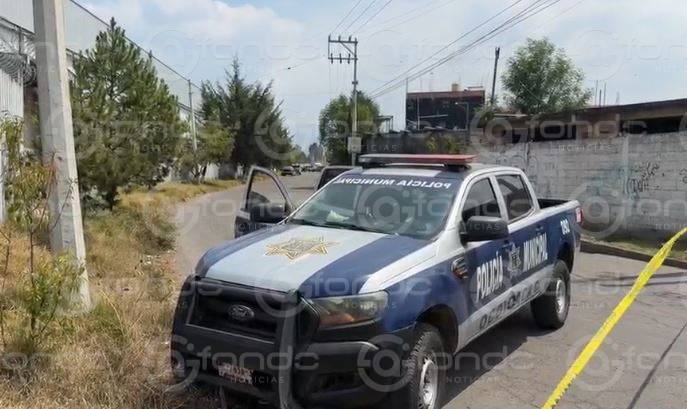 URGENTE: ‘De película’; sujeto intentó liberar unos leones y casi es devorado