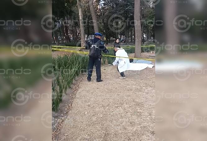 URGENTE: Hombre solía dormir en las calles y hoy amaneció sin vida en una jardinera
