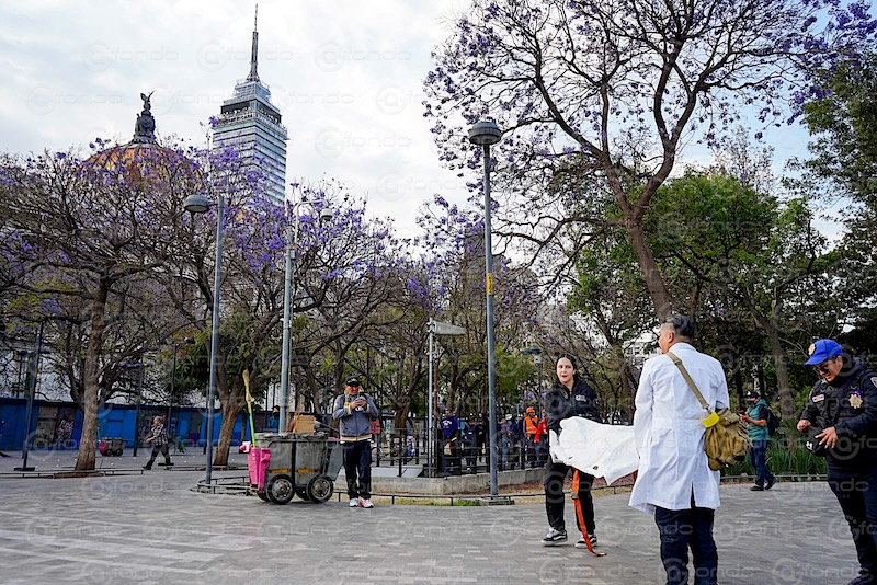 OLVIDO. Encuentran cuerpo de un hombre sin vida en la Alameda; Tenía los pies descalzos