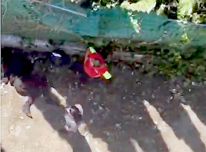 VIDEO. Motociclista pierde la vida al caer desde lo alto de un puente en el Estado de México