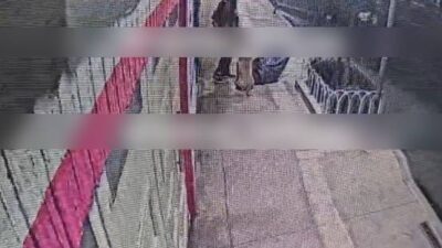 VIDEO: Ratero ataca a mujeres, autos y hasta medidores de gas; sale acompañado de un pitbull