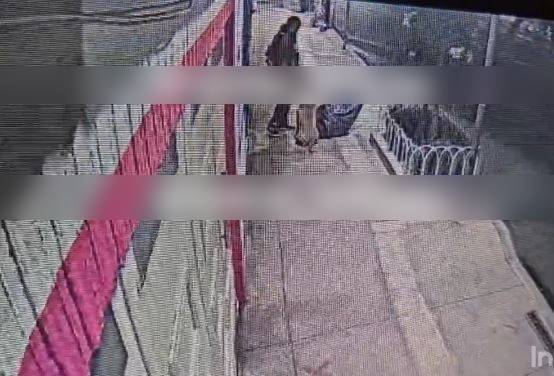 VIDEO: Ratero ataca a mujeres, autos y hasta medidores de gas; sale acompañado de un pitbull