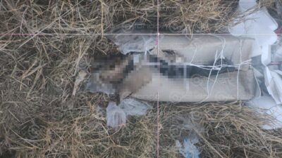 MACABRO. Dejan bolsa con huesos humanos y una caja con restos de un chivo en Edomex