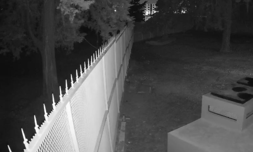 VIDEO. Rateros se brincan a una primaria durante la noche y roban objetos de valor