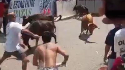 VIDEO: Toro fuera de control le destroza la cara a un hombre en una feria de pueblo
