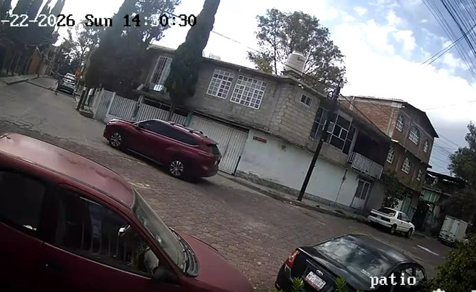 VIDEO: Sujeto prende fuego a árboles y desata el pánico entre vecinos en Edomex