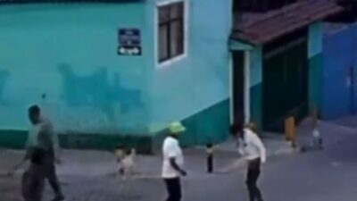 VIDEO: Sujeto con machete atacaba a perritos y apuñala a una vecina que los defendió