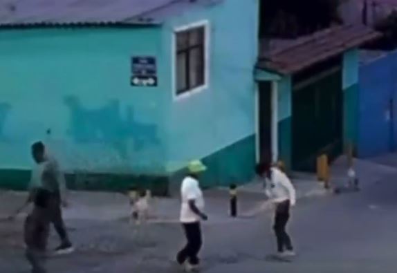 VIDEO: Sujeto con machete atacaba a perritos y apuñala a una vecina que los defendió