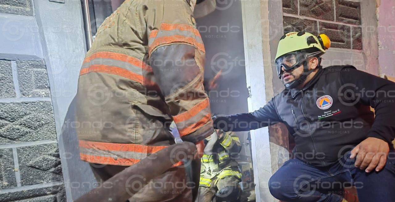VIDEO: Bomberos rescatan a perritos y gatitos atrapados durante incendio en una fábrica