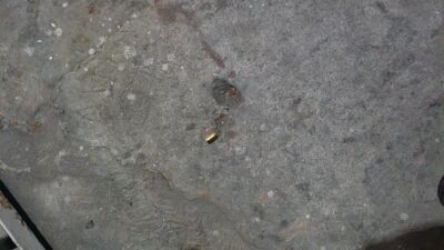 TERRIBLE: Brandon tenía 14 años, tomaba y estaba armado; discutió con un exreo y acabó muerto