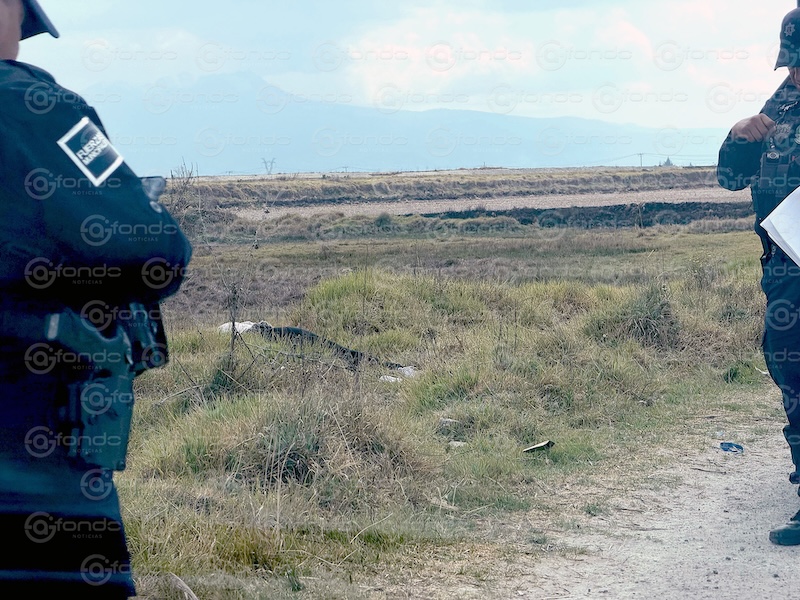 FEMINICIDIO #28. Abandonan cuerpo de una joven asesinada en camino solitario; fue degollada