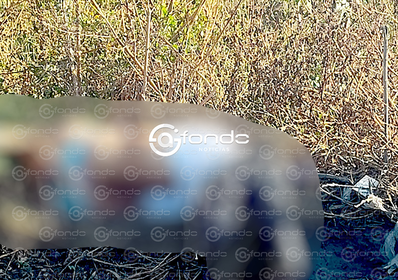 FEMINICIDIO #31. Abandonan junto a una carretera el cuerpo de una joven semidesnuda en Edomex