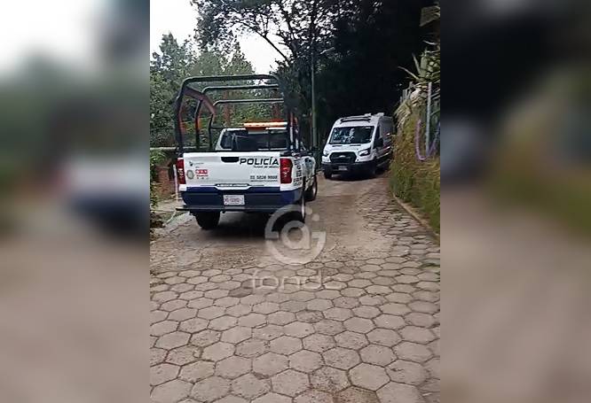 URGENTE: Encuentran un cuerpo ejecutado y se despliega movilización en una zona boscosa