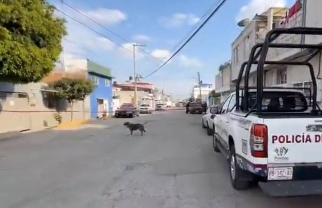 DESPIADADOS: Daniel peleaba seguido con sus familiares hasta que lo mataron a golpes