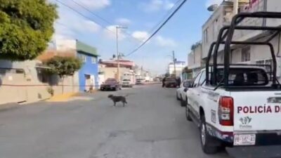 DESPIADADOS: Daniel peleaba seguido con sus familiares hasta que lo mataron a golpes